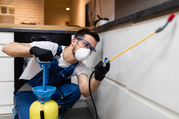 Best Best Pest Control Companies  in Dano, CO