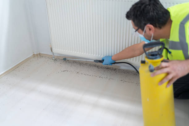 Reliable Dacono, CO Pest Control Solutions